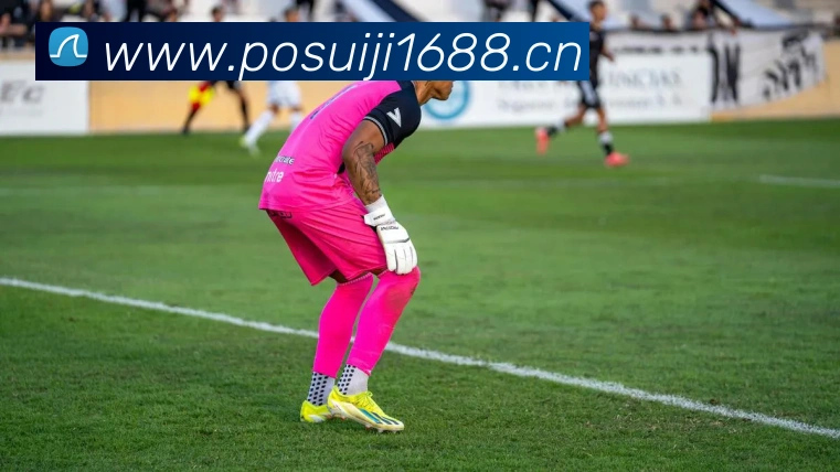 爱游戏ayx平台登录APP 封面图